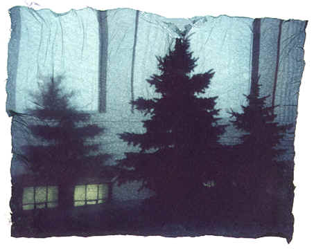 night pines
